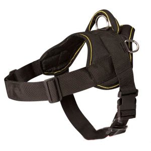 Durable Harness with Control Handle