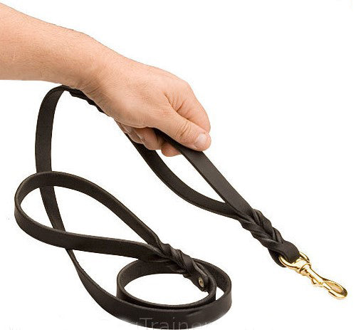Leather Lead with Double Handle