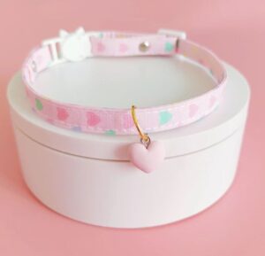 Beautiful Cat Collar with Hart