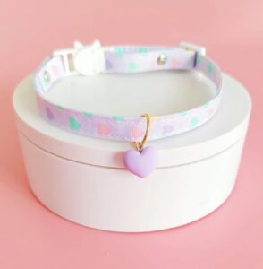 Beautiful Cat Collar with Hart