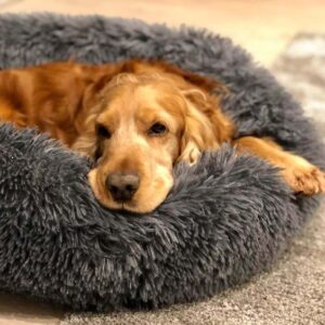 Faux Fur Plush Dog Beds