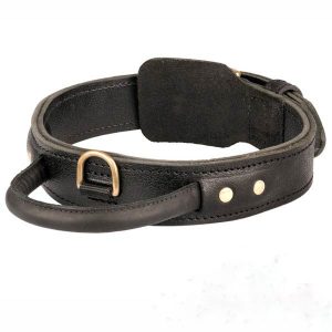 Leather Dog Collar with Handle