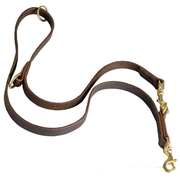 Leather Multi-Functional Lead