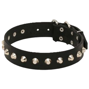 Leather Collar with Nickel Pyramids