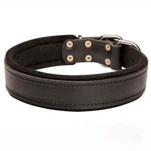 Padded Leather Collar
