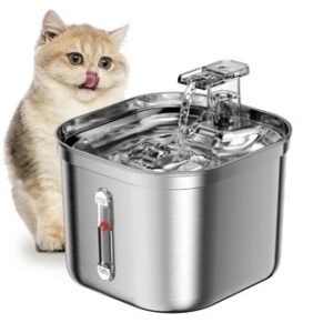 Water Drinking Fountain with Sensor