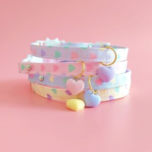 Beautiful Cat Collar with Hart