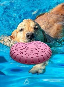Dog Eco-Friendly Frisbee