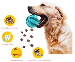 Dog Teeth Cleaning Ball