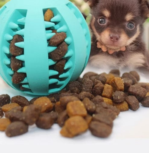 Dog Teeth Cleaning Ball