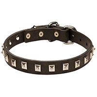 Leather Collar with Nickel Studs