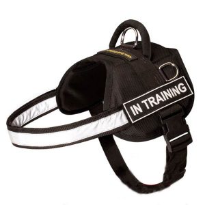 Nylon Dog Harness with Reflective Strap for Training