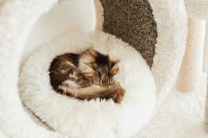 Faux Fur Plush Cat Bed