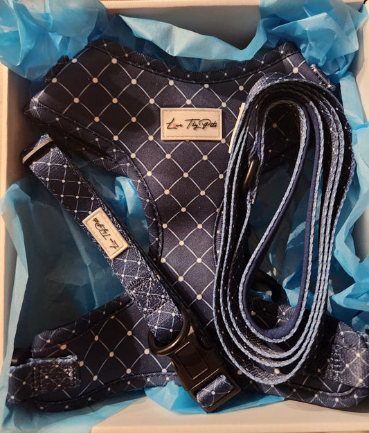 Blue Harness Set