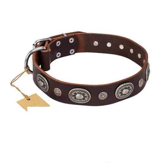 Brown Leather Dog Collar