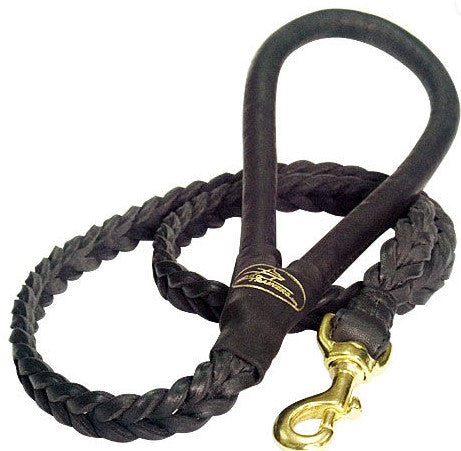 Braided Leather Dog Lead