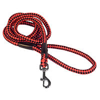 Nylon Lightweight Dog Lead