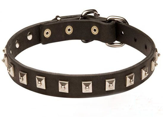 Leather Collar with Nickel Studs